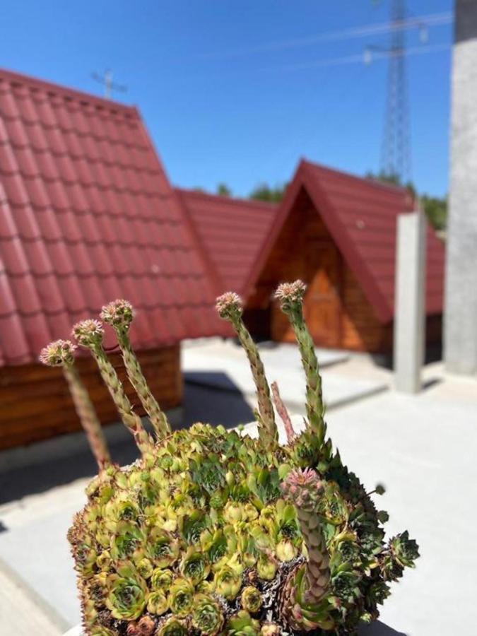 Bungalows Kisin Βίλα Τρέμπινιε Εξωτερικό φωτογραφία